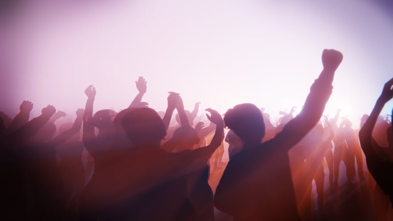 Enthusiastic concert crowd with raised hands